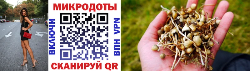 Псилоцибиновые грибы ЛСД  Купить где  Кущёвская 